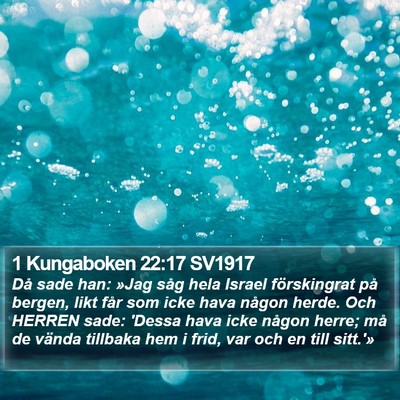 1 Kungaboken 22:17 SV1917 Bible Verse Image