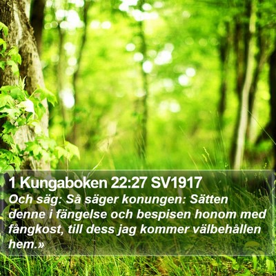1 Kungaboken 22:27 SV1917 Bible Verse Image