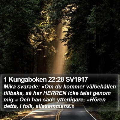 1 Kungaboken 22:28 SV1917 Bible Verse Image