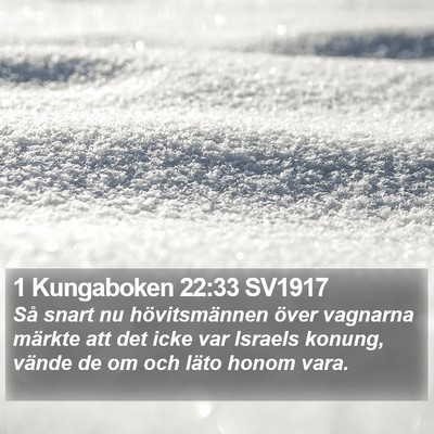 1 Kungaboken 22:33 SV1917 Bible Verse Image