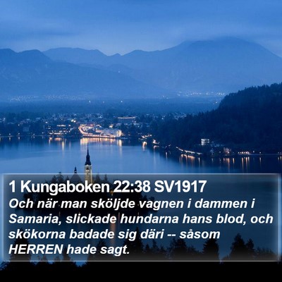 1 Kungaboken 22:38 SV1917 Bible Verse Image