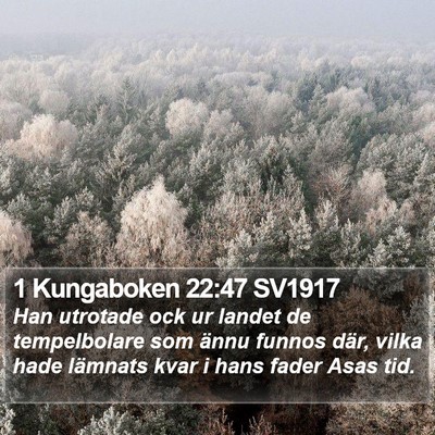 1 Kungaboken 22:47 SV1917 Bible Verse Image