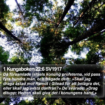 1 Kungaboken 22:6 SV1917 Bible Verse Image