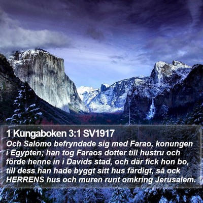 1 Kungaboken 3:1 SV1917 Bible Verse Image
