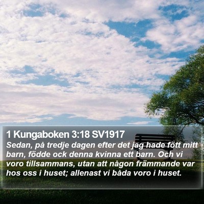 1 Kungaboken 3:18 SV1917 Bible Verse Image