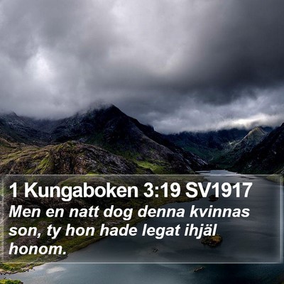 1 Kungaboken 3:19 SV1917 Bible Verse Image