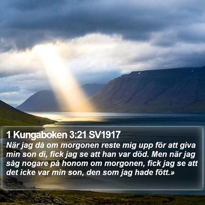 1 Kungaboken 3:21 SV1917 Bible Verse Image
