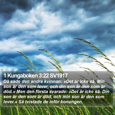 1 Kungaboken 3:22 SV1917 Bible Verse Image