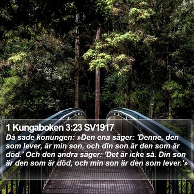 1 Kungaboken 3:23 SV1917 Bible Verse Image