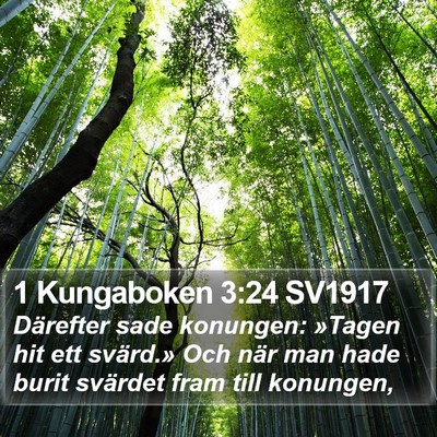 1 Kungaboken 3:24 SV1917 Bible Verse Image