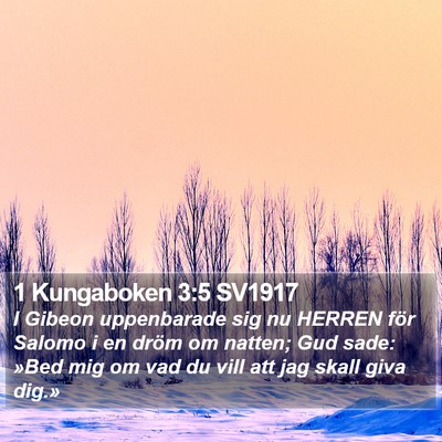 1 Kungaboken 3:5 SV1917 Bible Verse Image