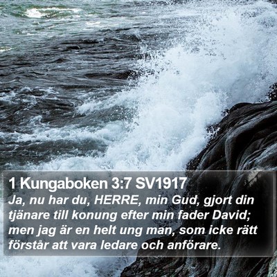 1 Kungaboken 3:7 SV1917 Bible Verse Image