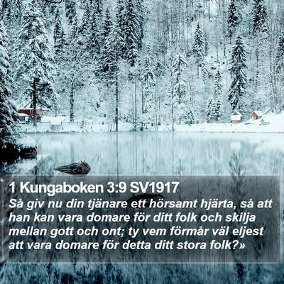 1 Kungaboken 3:9 SV1917 Bible Verse Image