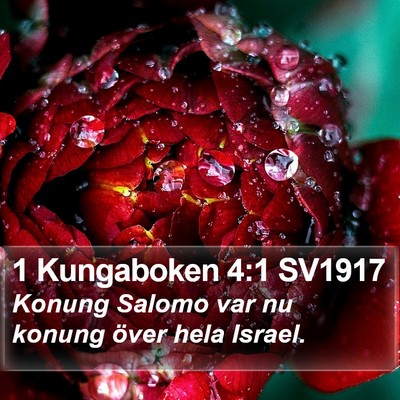 1 Kungaboken 4:1 SV1917 Bible Verse Image