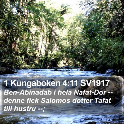 1 Kungaboken 4:11 SV1917 Bible Verse Image