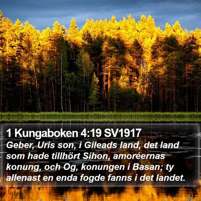 1 Kungaboken 4:19 SV1917 Bible Verse Image