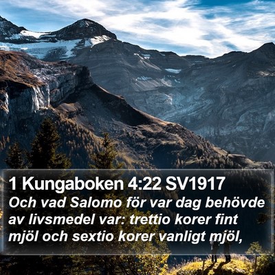 1 Kungaboken 4:22 SV1917 Bible Verse Image