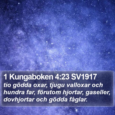 1 Kungaboken 4:23 SV1917 Bible Verse Image