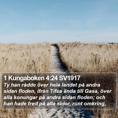 1 Kungaboken 4:24 SV1917 Bible Verse Image