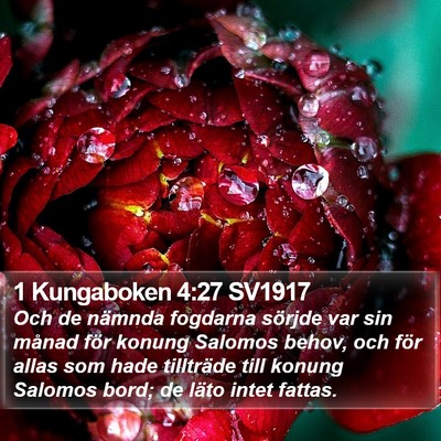 1 Kungaboken 4:27 SV1917 Bible Verse Image
