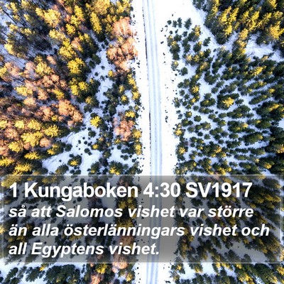 1 Kungaboken 4:30 SV1917 Bible Verse Image