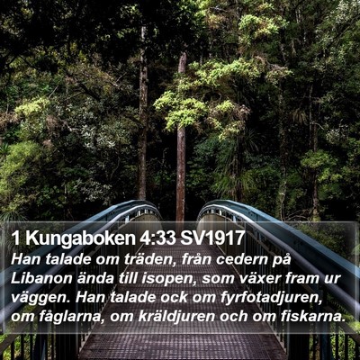 1 Kungaboken 4:33 SV1917 Bible Verse Image