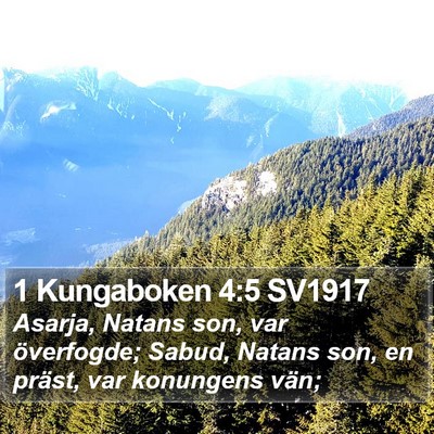 1 Kungaboken 4:5 SV1917 Bible Verse Image