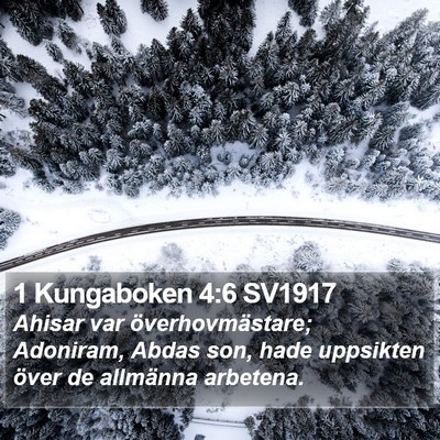 1 Kungaboken 4:6 SV1917 Bible Verse Image