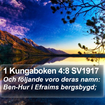 1 Kungaboken 4:8 SV1917 Bible Verse Image