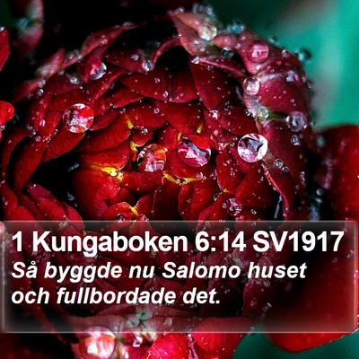 1 Kungaboken 6:14 SV1917 Bible Verse Image