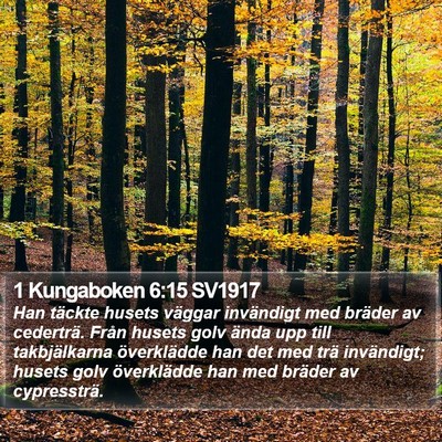 1 Kungaboken 6:15 SV1917 Bible Verse Image