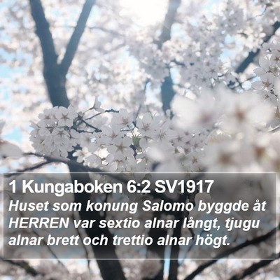 1 Kungaboken 6:2 SV1917 Bible Verse Image