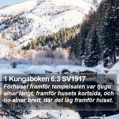 1 Kungaboken 6:3 SV1917 Bible Verse Image