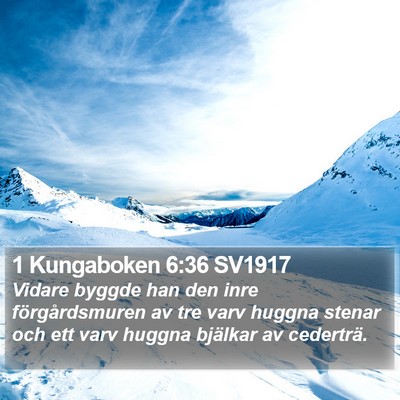 1 Kungaboken 6:36 SV1917 Bible Verse Image