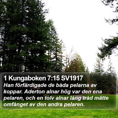1 Kungaboken 7:15 SV1917 Bible Verse Image