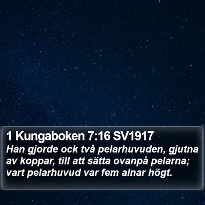 1 Kungaboken 7:16 SV1917 Bible Verse Image