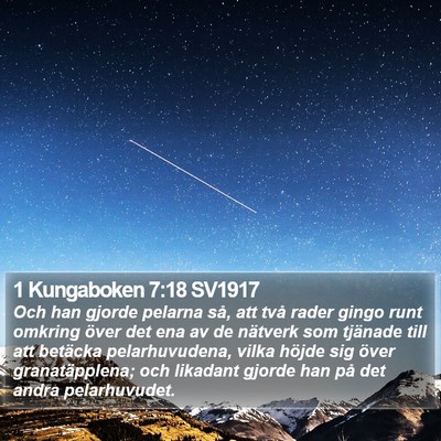 1 Kungaboken 7:18 SV1917 Bible Verse Image
