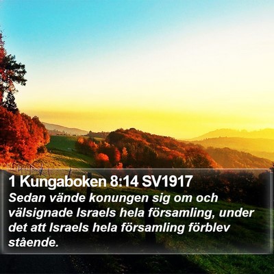 1 Kungaboken 8:14 SV1917 Bible Verse Image