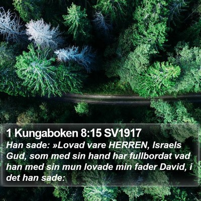 1 Kungaboken 8:15 SV1917 Bible Verse Image