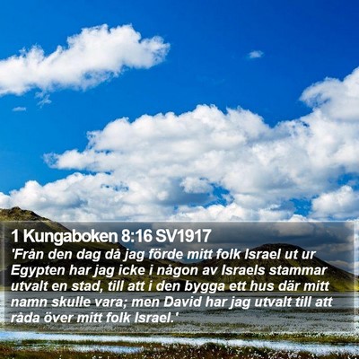 1 Kungaboken 8:16 SV1917 Bible Verse Image