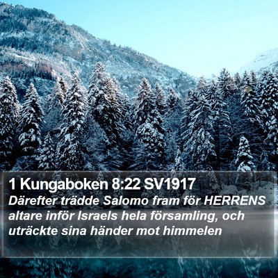 1 Kungaboken 8:22 SV1917 Bible Verse Image