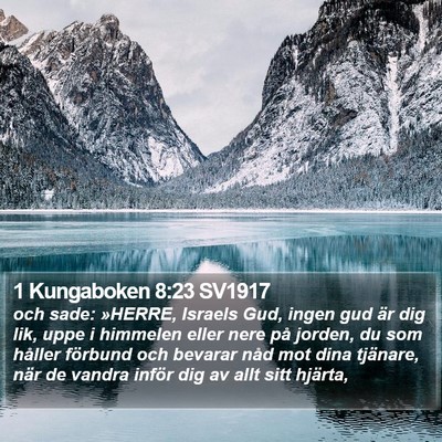 1 Kungaboken 8:23 SV1917 Bible Verse Image