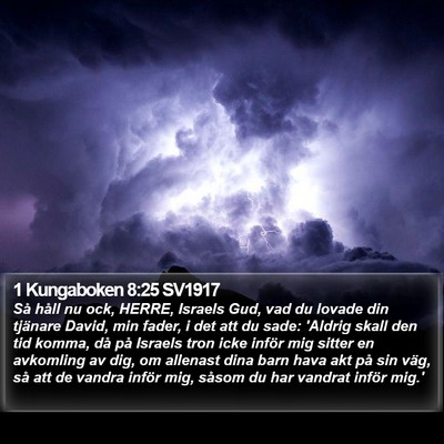 1 Kungaboken 8:25 SV1917 Bible Verse Image