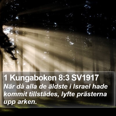1 Kungaboken 8:3 SV1917 Bible Verse Image