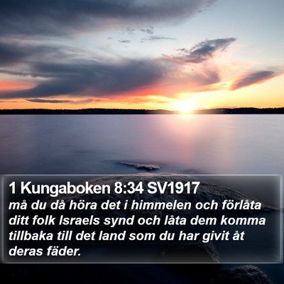 1 Kungaboken 8:34 SV1917 Bible Verse Image