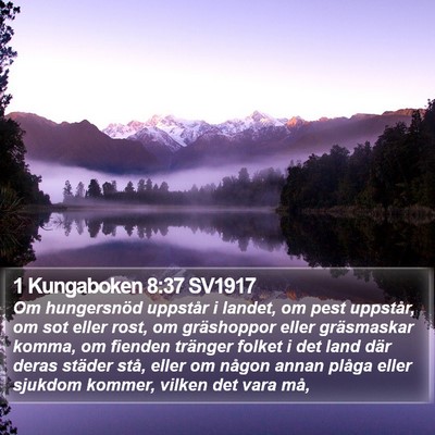 1 Kungaboken 8:37 SV1917 Bible Verse Image