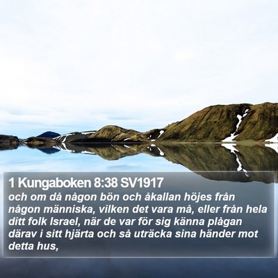 1 Kungaboken 8:38 SV1917 Bible Verse Image