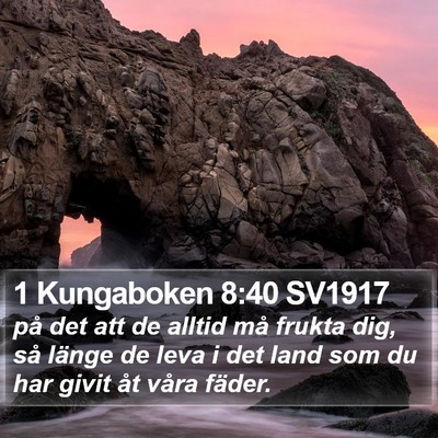 1 Kungaboken 8:40 SV1917 Bible Verse Image