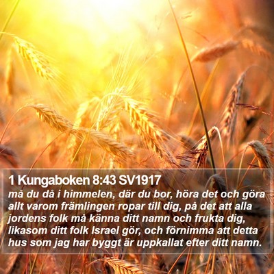1 Kungaboken 8:43 SV1917 Bible Verse Image