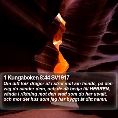 1 Kungaboken 8:44 SV1917 Bible Verse Image
